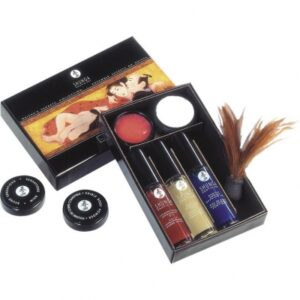 shunga - geisha's geheimen collectie