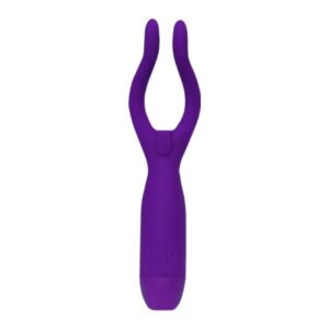 couples vibrator