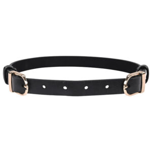 Sportsheets Sex&Mischief Double Buckle Day Collar