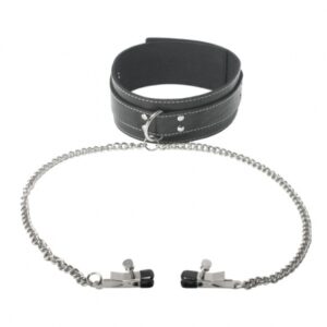 collar and clamps