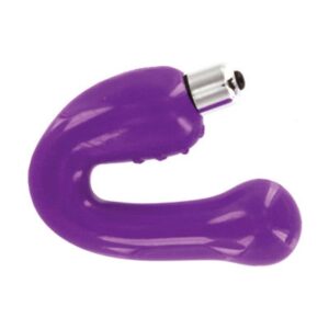 ginas g-spot vibe paars