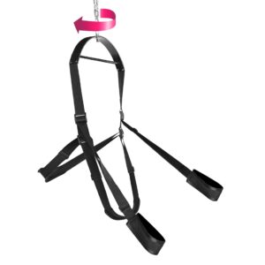 360 Spinning Sex Swing
