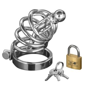 Asylum - 4 Ring Chastity Cage