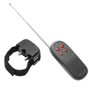 Cock Shock Remote