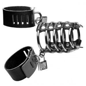 Gates of Hell Chastity Device