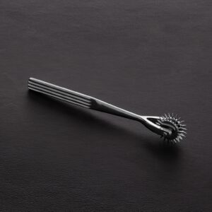 Double - Pin Wheel
