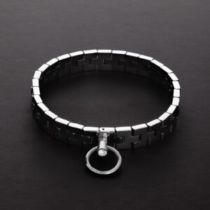 Watchband Collar with Lock (17")