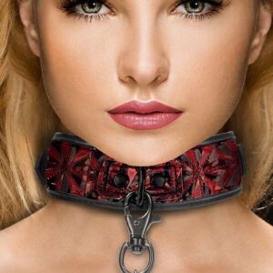 Luxury Collar with Leash - Burgundy