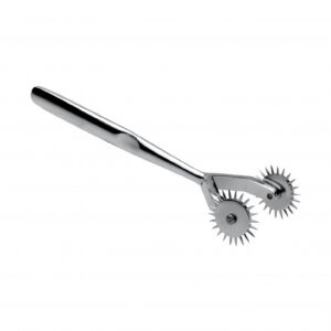 Twin Sensation Wartenburg Pin Wheel
