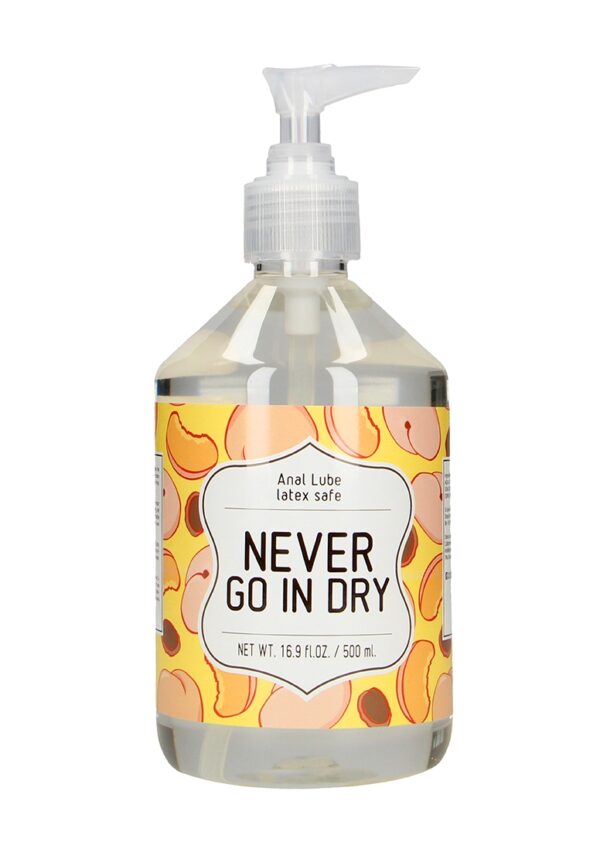 Anal Lube - NEVER GO IN DRY - 500 ml
