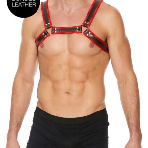 Buckle Bulldog Harness - L/XL - Red