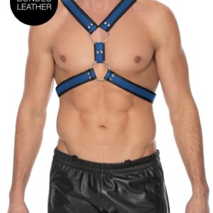 Scottish Harness - L/XL - Blue