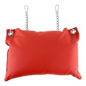 Leather pillow - Red