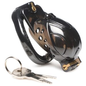Double Lockdown Locking Customizable Chastity Cage - Black