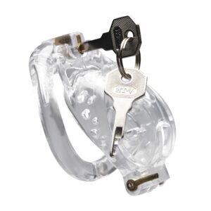 Double Lockdown Locking Customizable Chastity Cage - Clear