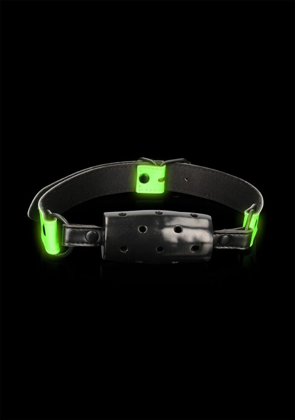 Cylinder Gag - Glow in the Dark - Neon Green/Black