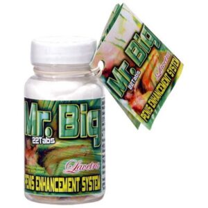 mr. big penis enhancement system 22st.