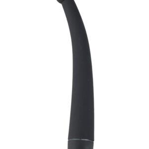 Vibrating Curve