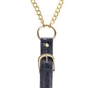 Penitentiaire tepelklemmen met cockring