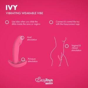 EasyConnect - Draagbare Vibrator app gestuurd