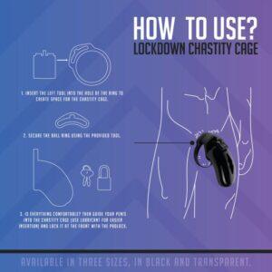 Lockdown Kuisheidskooi - Small