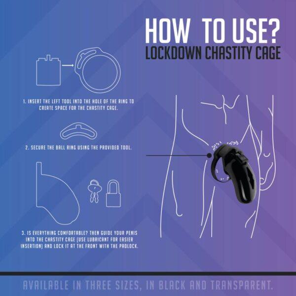 Lockdown Kuisheidskooi - Small