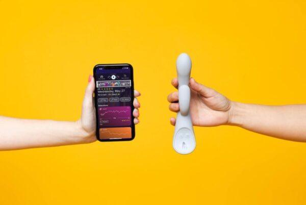 The Lioness Smart Vibrator 2.0 - Grijs