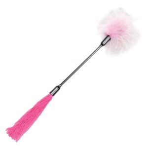 S and M - Whip and Tickle Roze and Wit